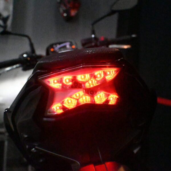 10-scaled-1.jpg Kawasaki Z 650 2024 (10000 kms)