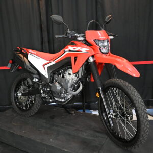 DSC_2650-scaled-1.jpg HONDA XR 300 2025 (1000 kms) 1213