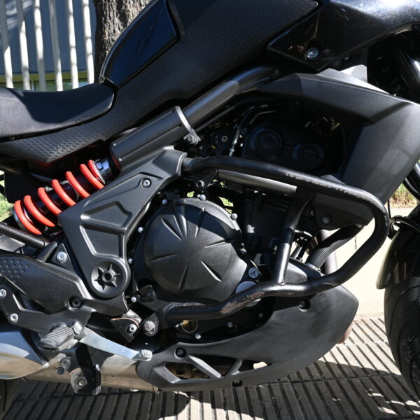 DSC_5663 KAWASAKI Versys 650 2014 (50.000 kms)