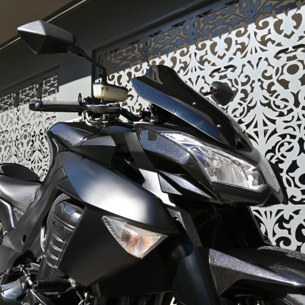 DSC_6199 KAWASAKI Z 1000 2012 (38000 kms)