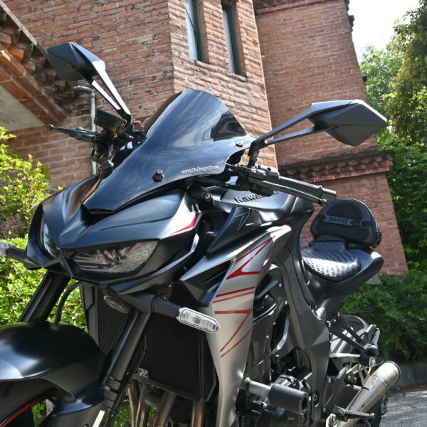 Kawasaki Z 1000 – 2019  (26000 kms)