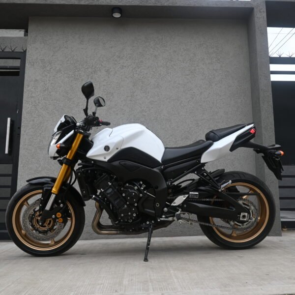 DSC_8038 Yamaha FZ8 – 2012 (50000 kms)