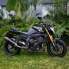 Yamaha FZ8 – 2012 (2017) (15000 kms)