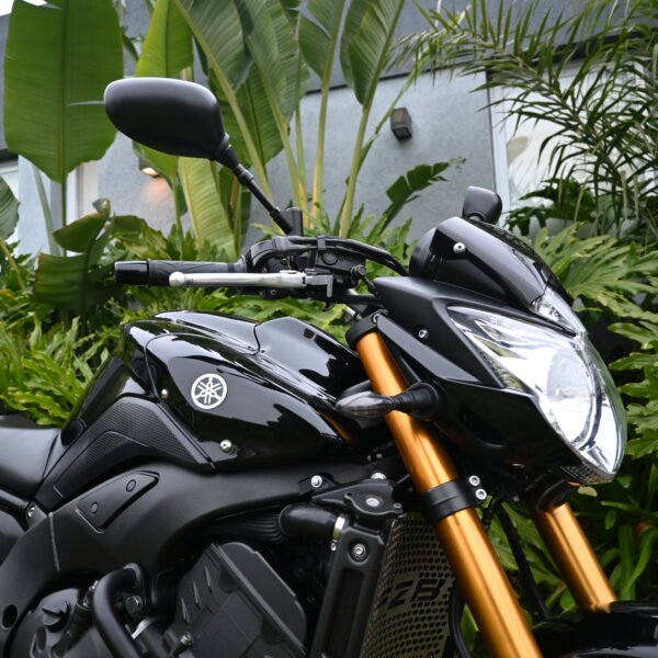 Yamaha FZ8 – 2012 (2017) (15000 kms)