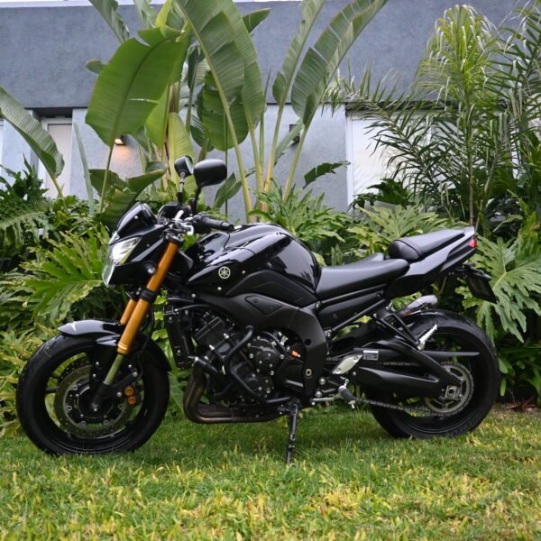Yamaha FZ8 – 2012 (2017) (15000 kms)