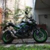 Kawasaki Z900 – 2024 (2800 kms)