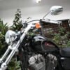DSC_9278 Harley-Davidson Sportster Custom 883 – 2009 (42000 kms)