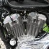 DSC_9284 Harley-Davidson Sportster Custom 883 – 2009 (42000 kms)