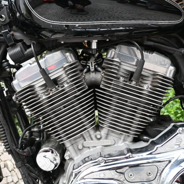 DSC_9284 Harley-Davidson Sportster Custom 883 – 2009 (42000 kms)